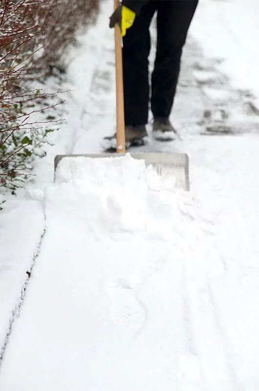 winterdienst winterservice wien schneeschaufeln